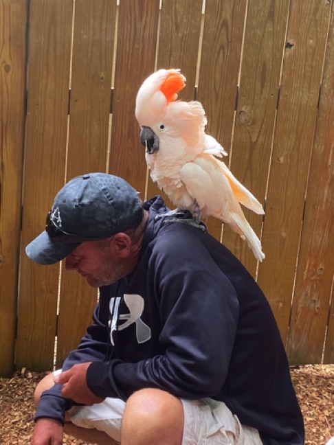 Coplei's Adventures - my daddy